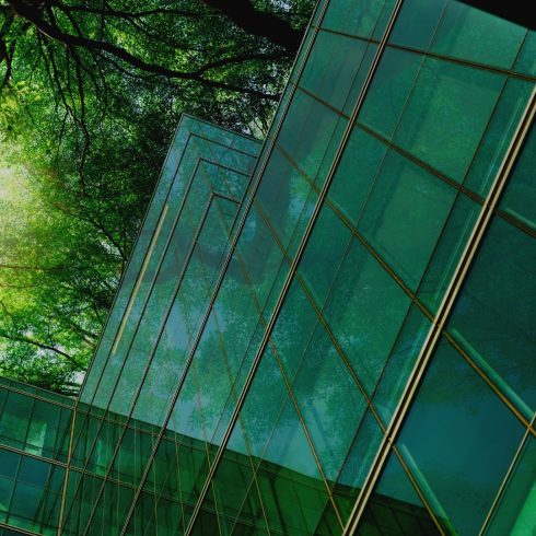 Biophilic design