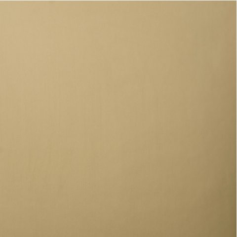 Alu Plain Polished Goldtone